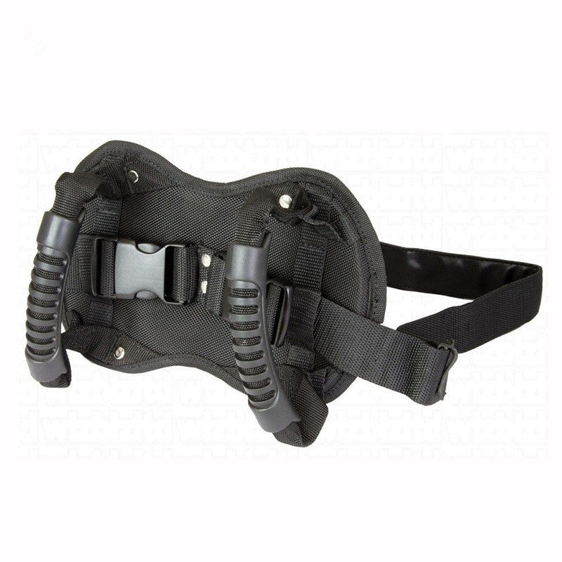 Motorcycle back seat safety handle