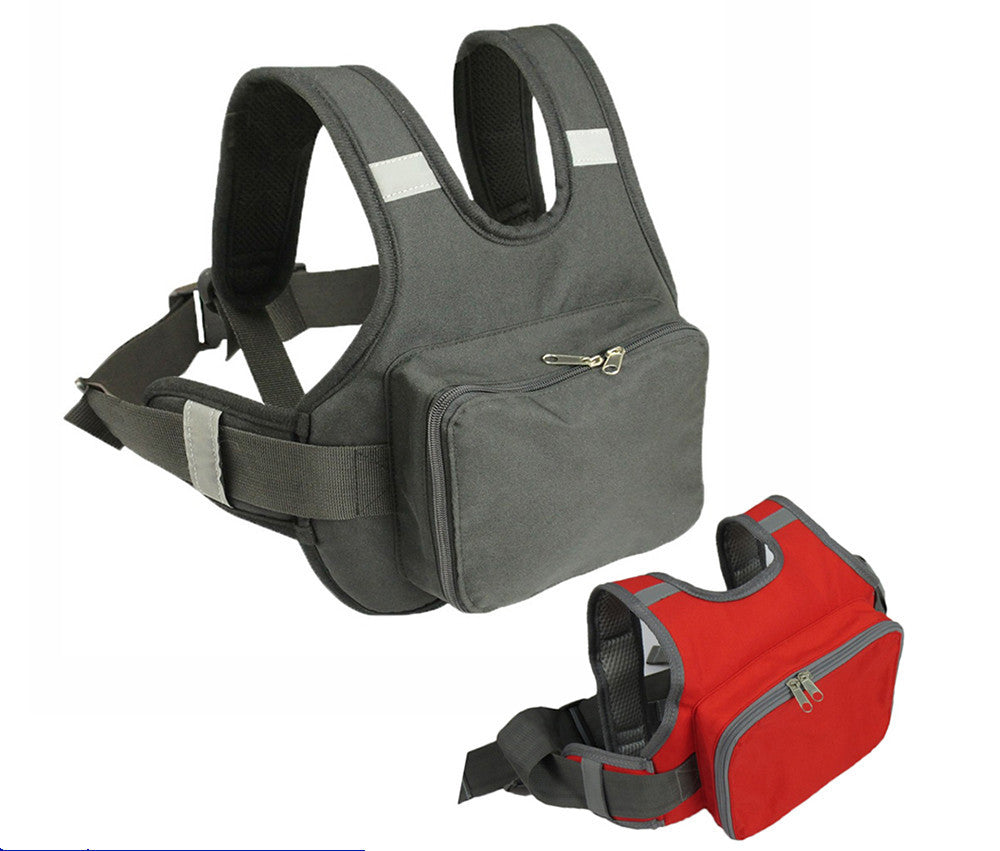 Motorcycle back seat safety handle