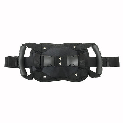Motorcycle back seat safety handle